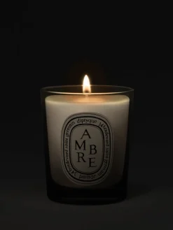 Candles & Scent>DIPTYQUE Amber Small Candle