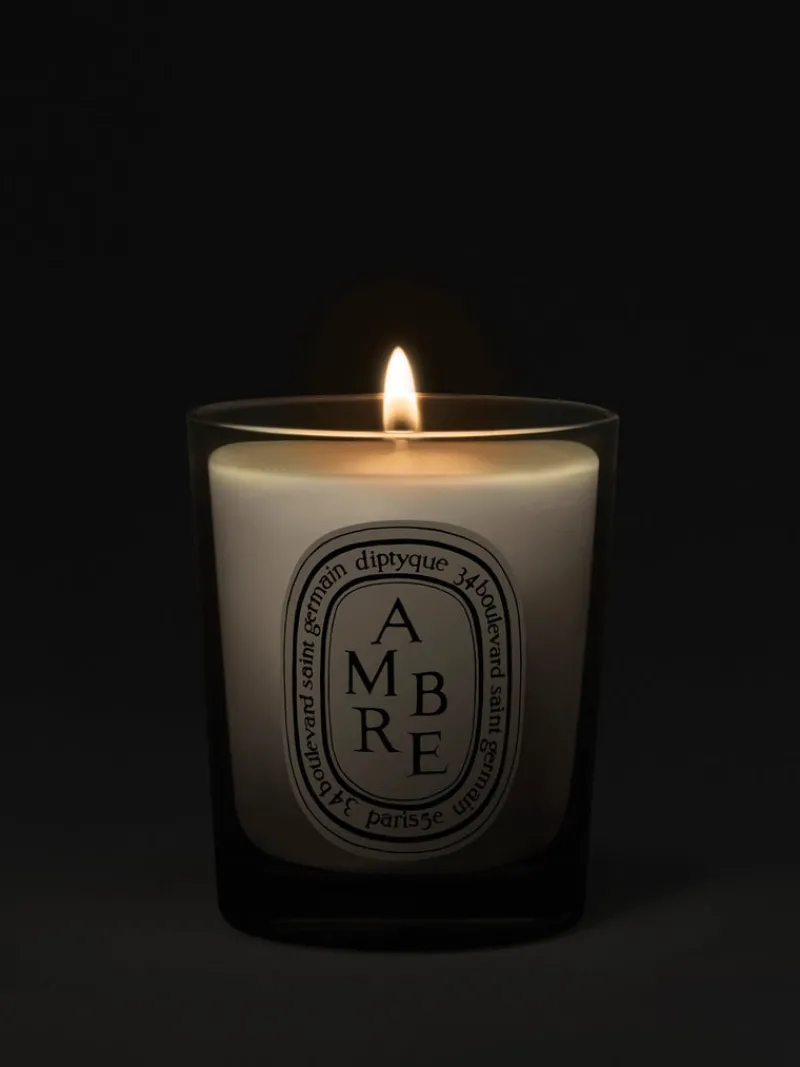 Candles & Scent>DIPTYQUE Amber Small Candle