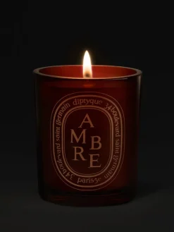 Candles & Scent>DIPTYQUE Ambre Medium Candle