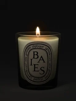 Candles & Scent>DIPTYQUE Baies Classic Candle