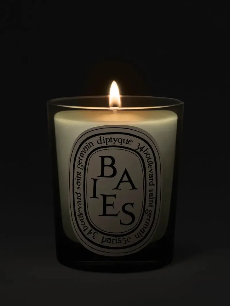 Candles & Scent>DIPTYQUE Baies Classic Candle