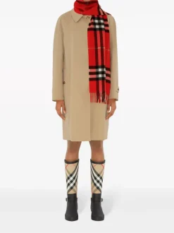Scarves | Scarves><noscript><img width=