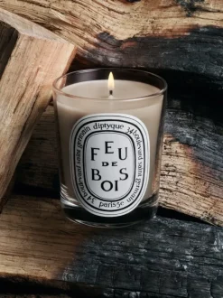 Candles & Scent>DIPTYQUE Feu de Bois Wood Fire Small Candle