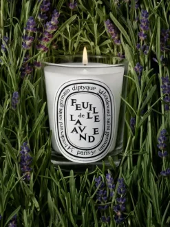 Candles & Scent>DIPTYQUE Feuille De Lavande Classic Candle