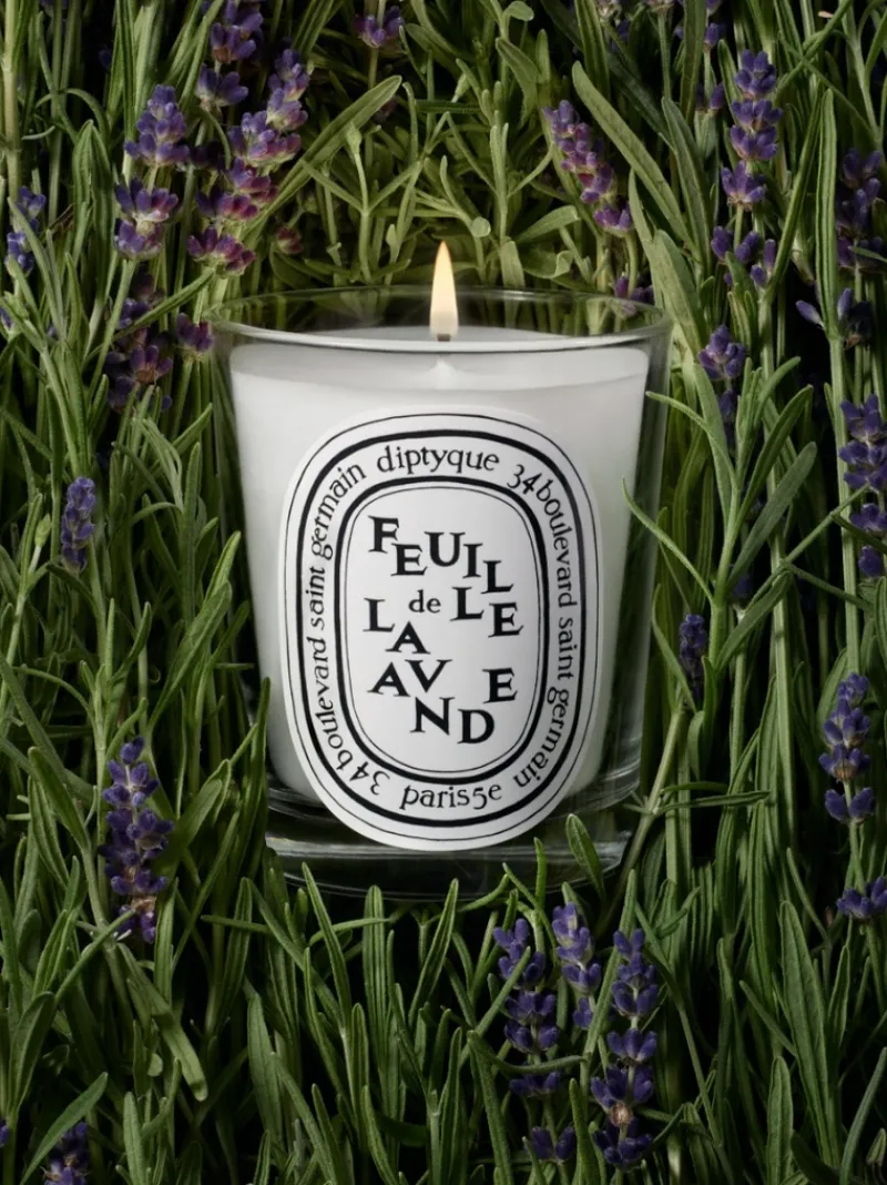 Candles & Scent>DIPTYQUE Feuille De Lavande Classic Candle