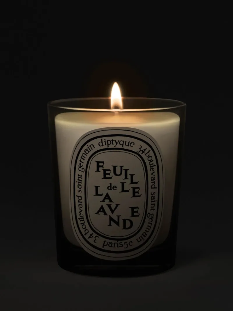 Candles & Scent>DIPTYQUE Feuille De Lavande Classic Candle
