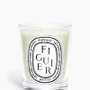 Candles & Scent>DIPTYQUE Figuier Classic Candle