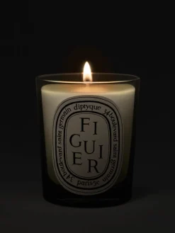 Candles & Scent>DIPTYQUE Figuier Classic Candle
