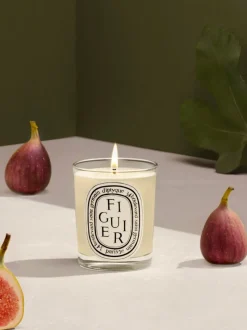Candles & Scent><noscript><img width=