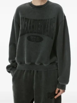 Sweats & Hoodies>alexanderwang.t Graphic Crewneck Sweatshirt