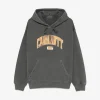 Sweats & Hoodies | Sweats & Hoodies>CARHARTT WIP Libraray Sweat Hoodie