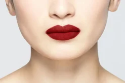 Body>LA BOUCHE ROUGE Lipstick Refill - Burgundy