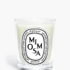 Candles & Scent>DIPTYQUE Mimosa Classic Candle