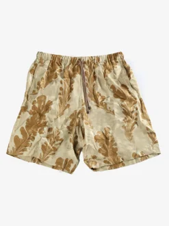 Shorts><noscript><img width=