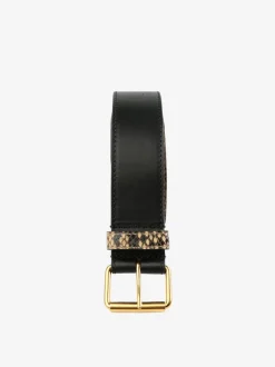 Small Accessories><noscript><img width=