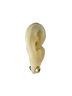Jewelry | Jewelry><noscript><img width=