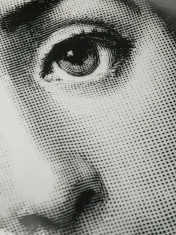 Home>FORNASETTI Theme And Variations N.130 Plate