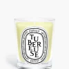 Candles & Scent>DIPTYQUE TubéReuse Classic Candle