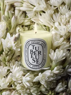 Candles & Scent><noscript><img width=
